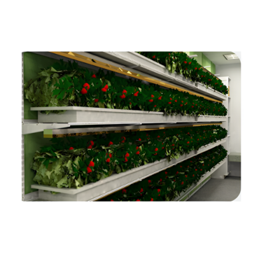 Стеллаж для выращивания клубники "Стена" - «globural.ru» - Тверь