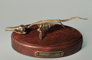 Модель скелета ихтиозавра Ichthyosaurus - «globural.ru» - Тверь