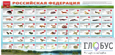 Стенд "Красная книга РФ" - «globural.ru» - Тверь