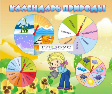 Стенд "Календарь природы" (вариант 1) - «globural.ru» - Тверь
