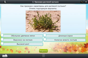 Интерактивные курсы. Окружающий мир 3 класс. Базовый - «globural.ru» - Тверь