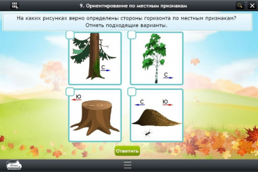 Интерактивные курсы. Окружающий мир 1 класс. Базовый - «globural.ru» - Тверь