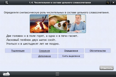 Интерактивные курсы. Русский язык 6 класс. Базовый - «globural.ru» - Тверь