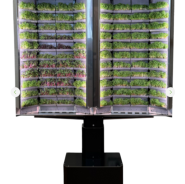 Вертикальная  ферма «Моя микрозелень» комплектация  «Театро настенная» - «globural.ru» - Тверь