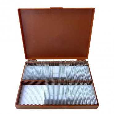 Комплект микропрепаратов по анатомии, ботанике, зоологии, общей биологии - «globural.ru» - Тверь