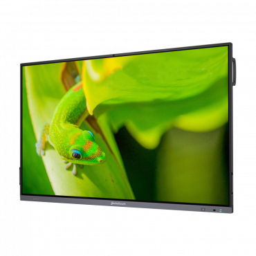 Интерактивный программно-аппаратный комплекс Geckotouch Interactive IP75GT-C в комплекте с настенным креплением - «globural.ru» - Тверь