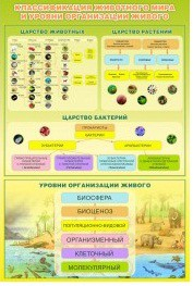 Стенд "Классификация животного мира" - «globural.ru» - Тверь