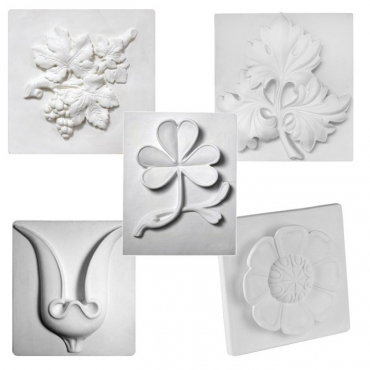 Комплект гипсовых моделей растений  - «globural.ru» - Тверь